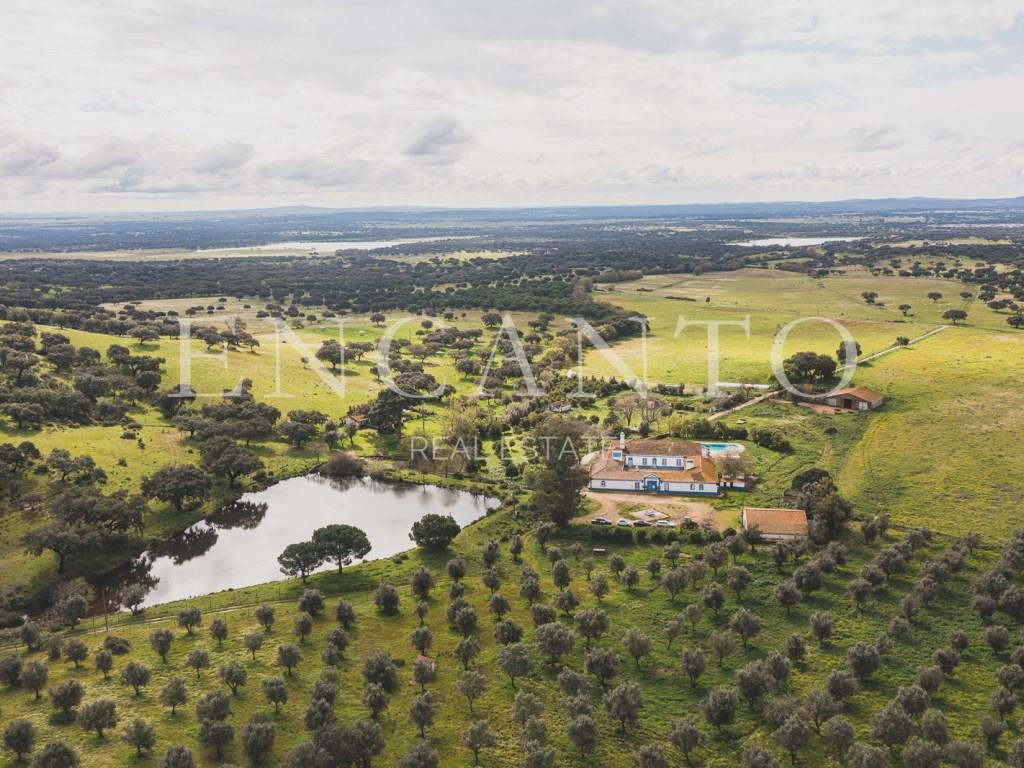 Estate with 182 hectares in the Montemor-o-Novo region - Alentejo