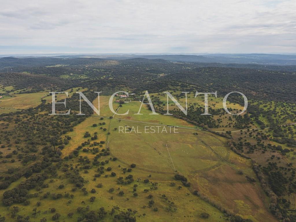 Estate with 182 hectares in the Montemor-o-Novo region - Alentejo