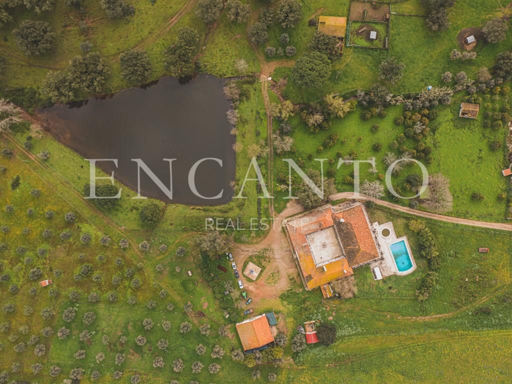 Estate with 182 hectares in the Montemor-o-Novo region - Alentejo