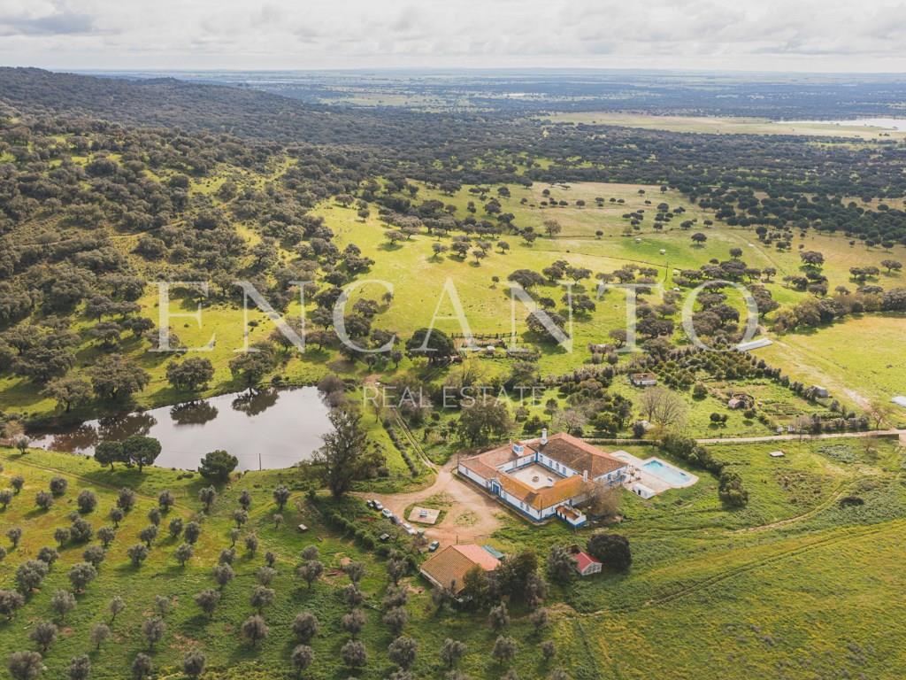 Estate with 182 hectares in the Montemor-o-Novo region - Alentejo