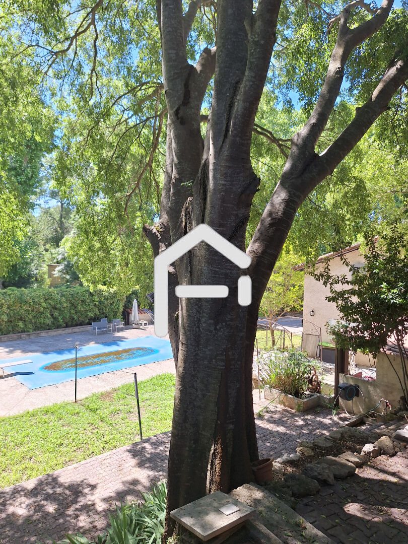 Purchase: House (34560)