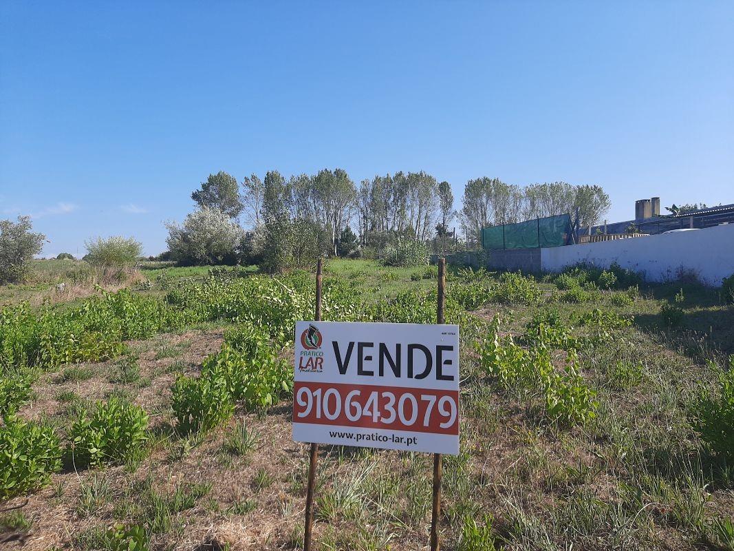 Compra: Terreno (3770)
