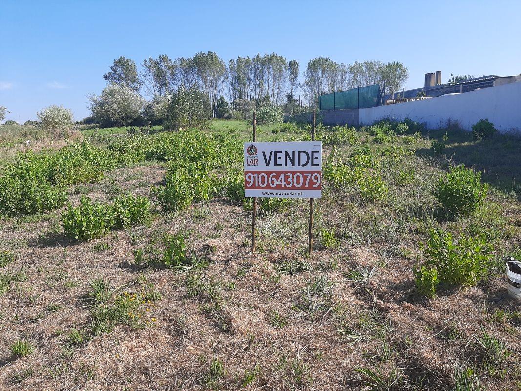 Compra: Terreno (3770)