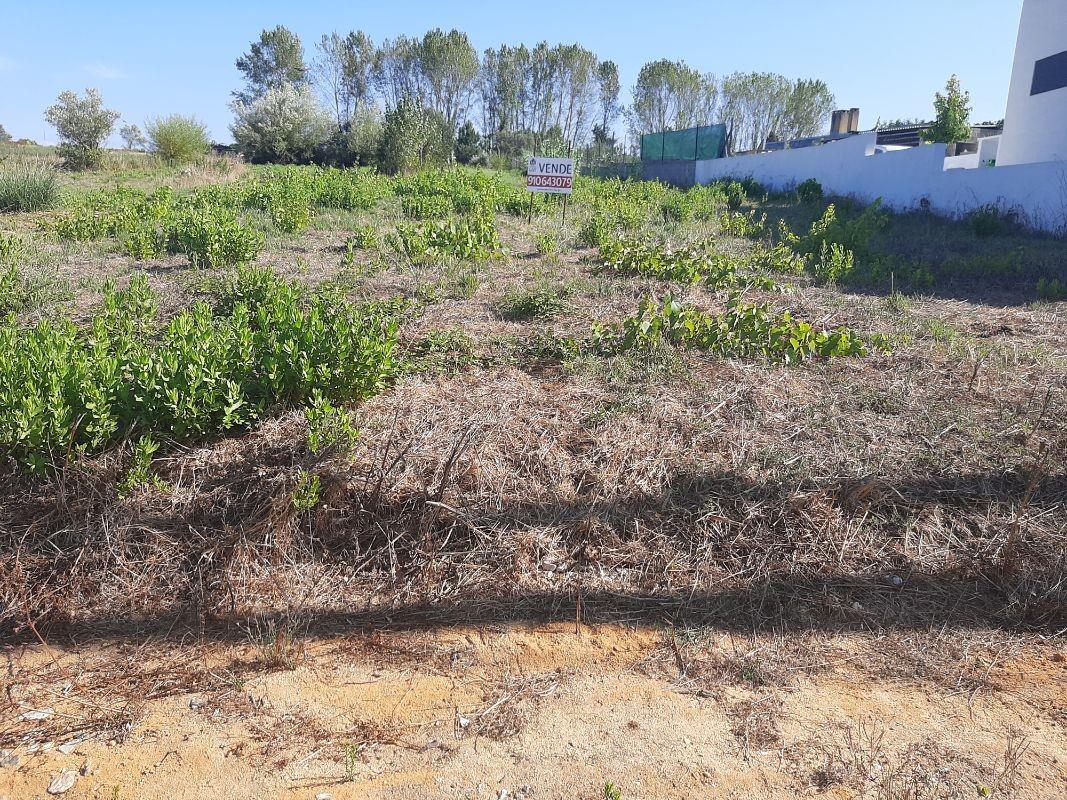 Compra: Terreno (3770)