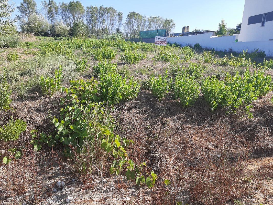 Compra: Terreno (3770)