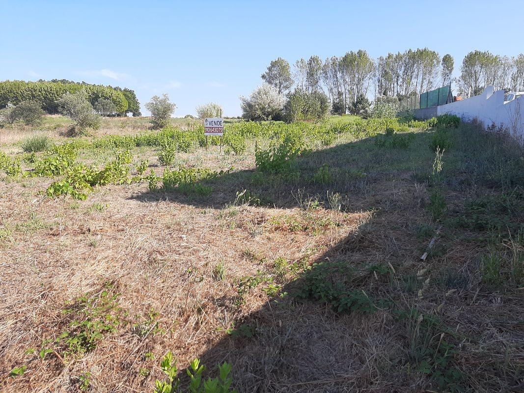Compra: Terreno (3770)