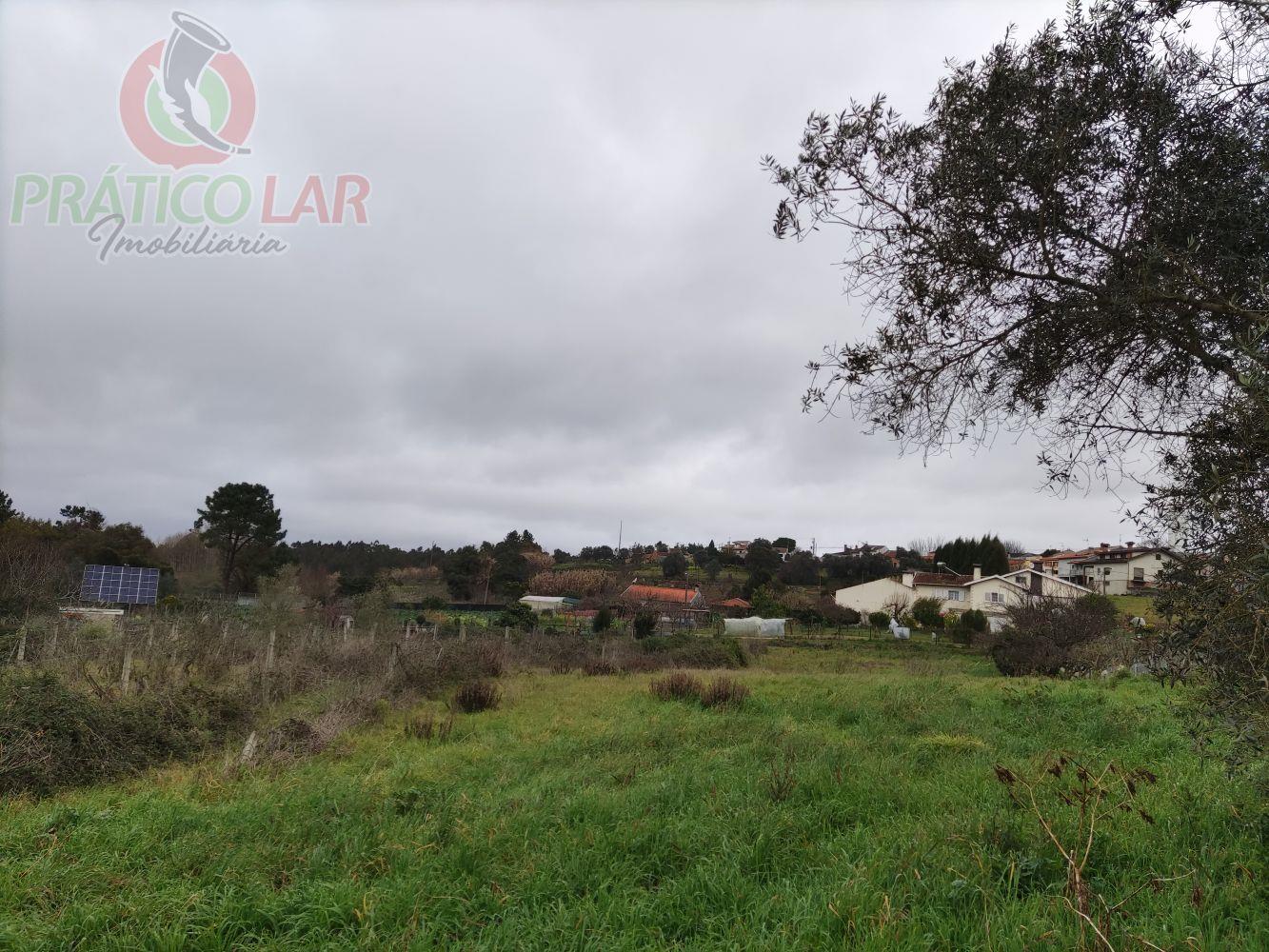 Compra: Terreno (3770)