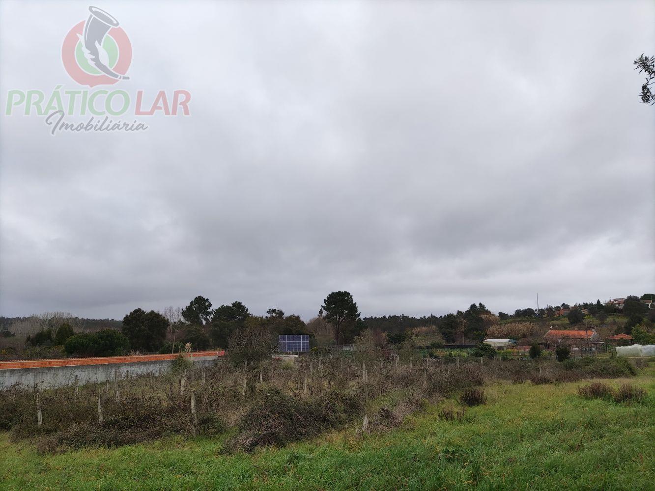 Compra: Terreno (3770)