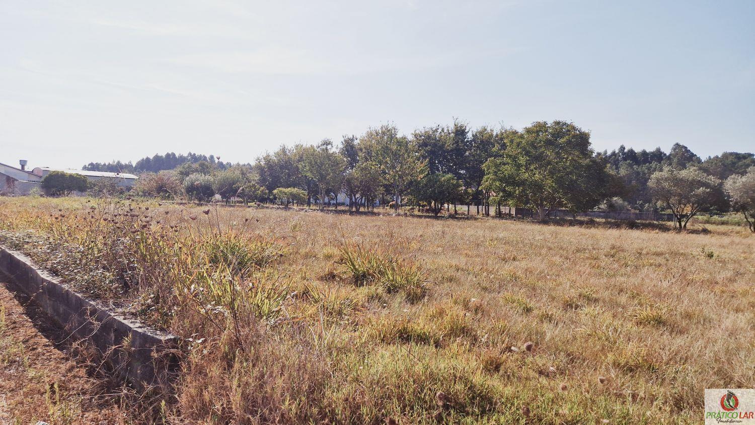Compra: Terreno (3770)