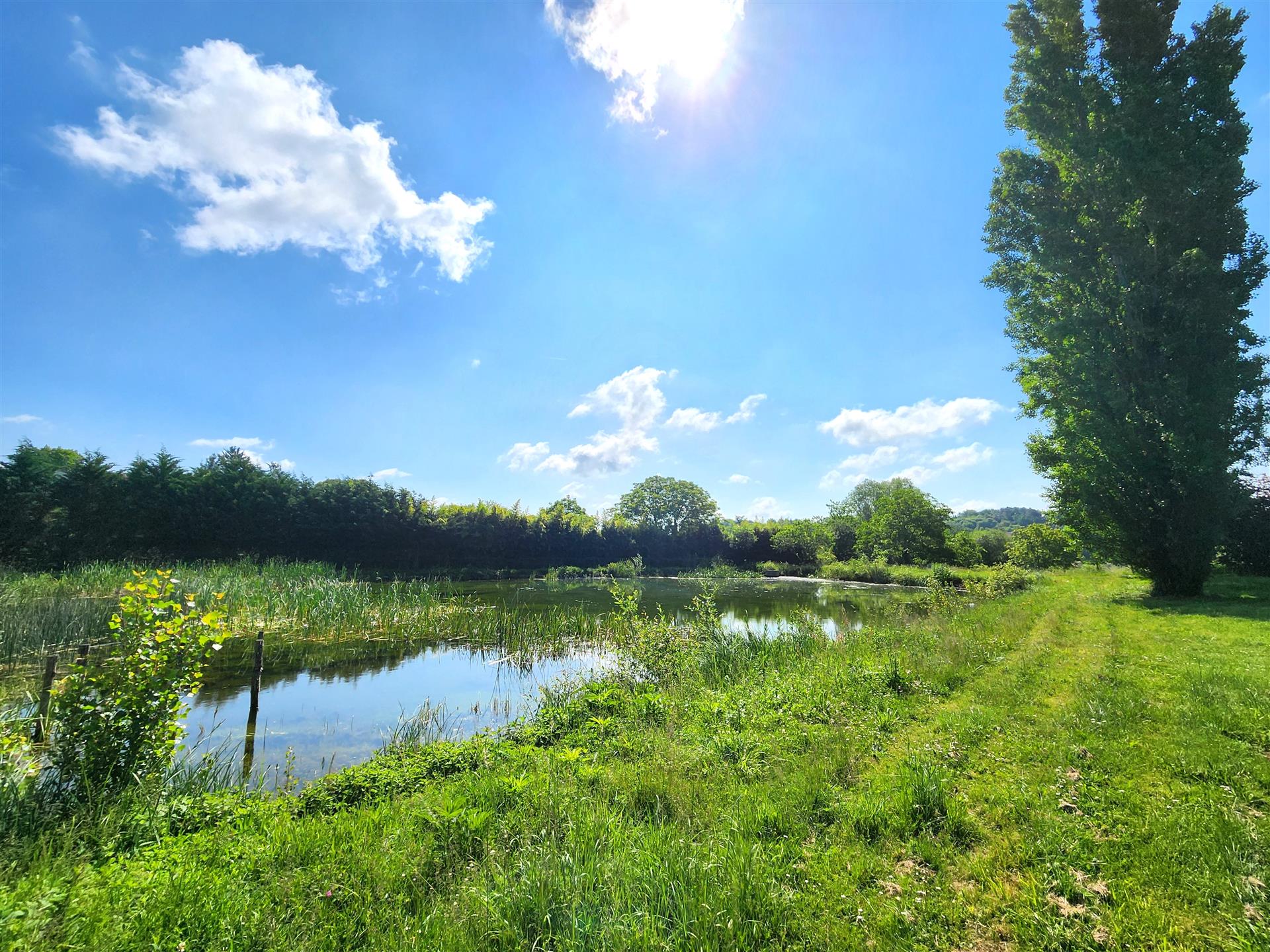 Perigord house with outbuildings, pond and swimming pool