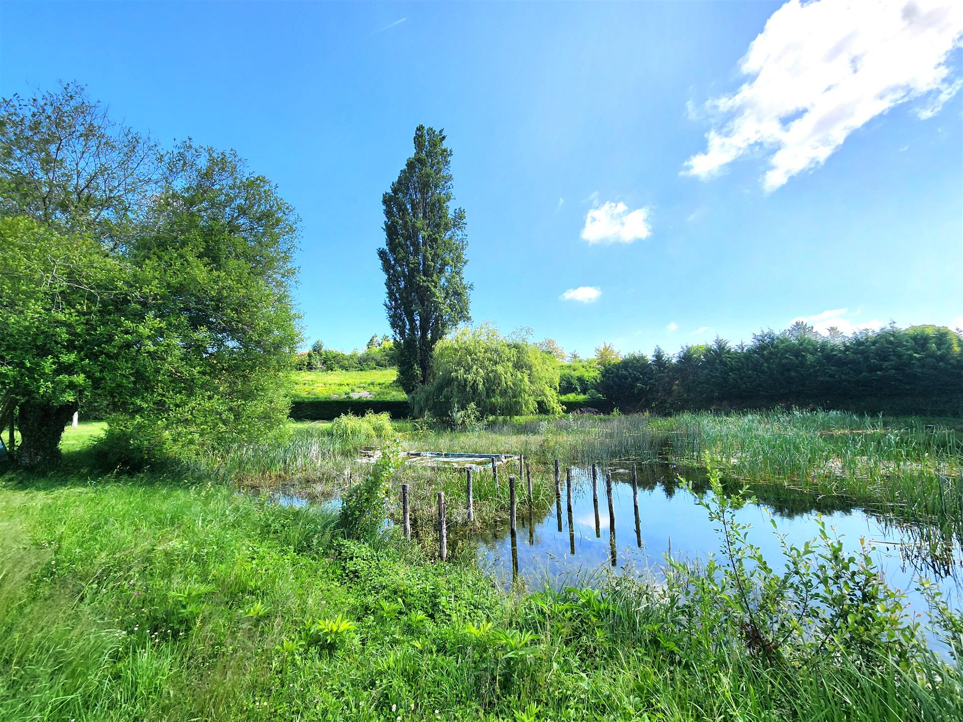 Perigord house with outbuildings, pond and swimming pool