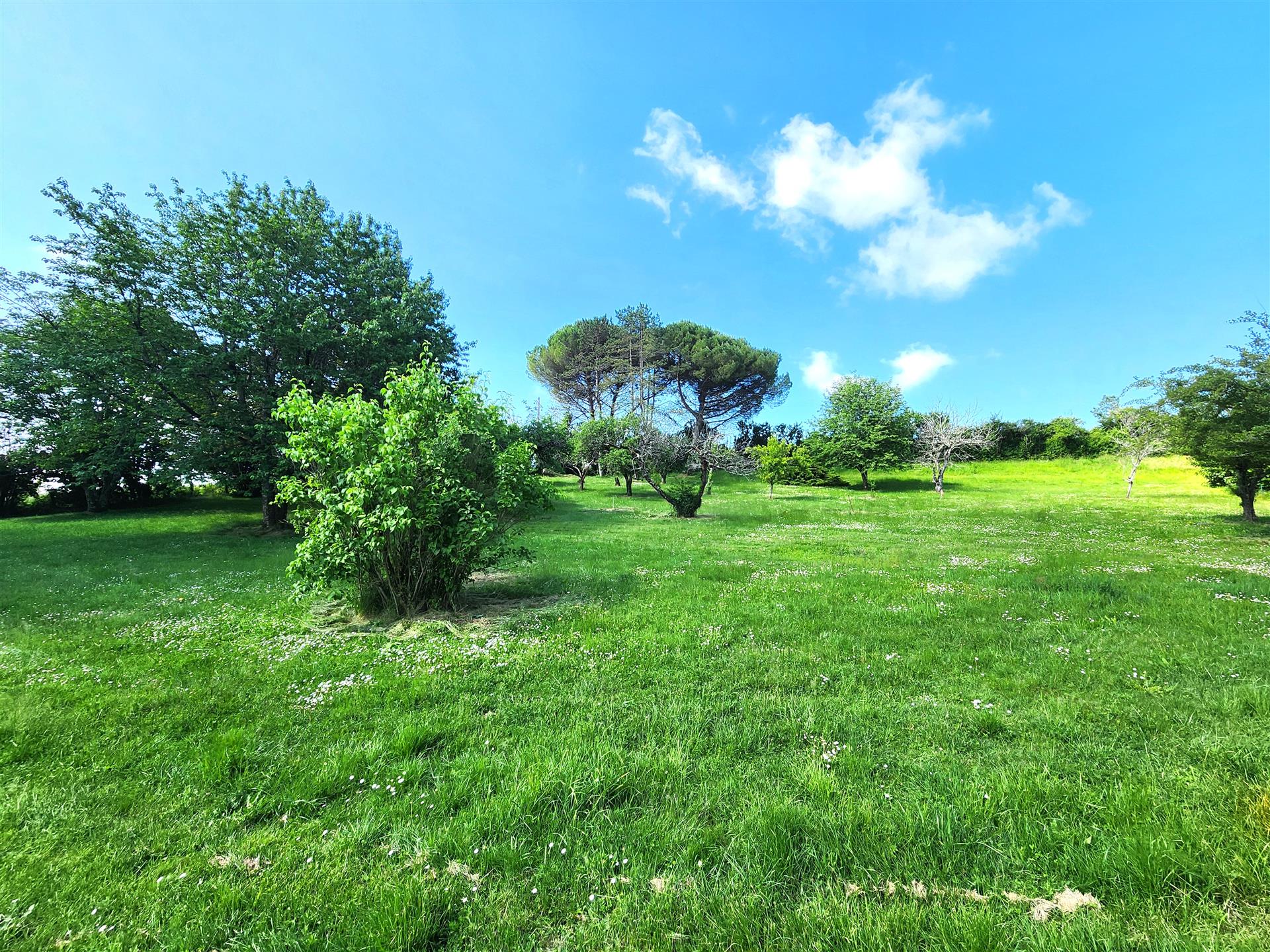 Perigord house with outbuildings, pond and swimming pool