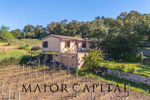 Casa isolada à venda em Calangianus