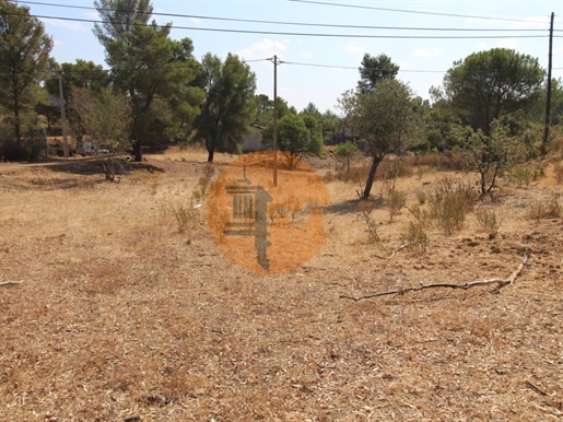 Mixed land in the Gatas Valley, 4 km from Odeleite, with 11.3 hectares of area.
It has 2,629 m2 of