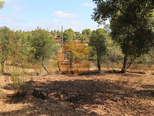 Mixed land in the Gatas Valley, 4 km from Odeleite, with 11.3 hectares of area.
It has 2,629 m2 of