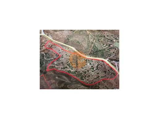 Terrain Avec 57.810 M2 - Avec Possibilité De Construction - Alcarias - Azinhal - Castro Marim - Alga