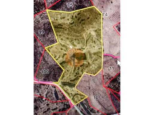 Land With 67960 M2 - С Лаке - Солнечные Панели - Алкария - Азинхал - Кастро Марим - Алгарве