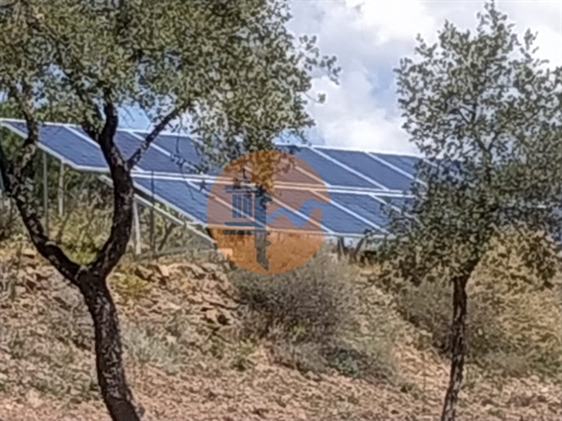 Terreno Com 69075 M2 - Com Lago - Painel Solar - Alcarias - Azinhal - Castro Marim - Algarve