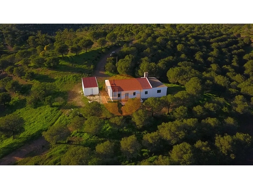 Bauernhof Mit 37,7 Hektar - Mit Privatem See - Meerblick - Mit Möglichkeit Von Häusern - Hotel Und T