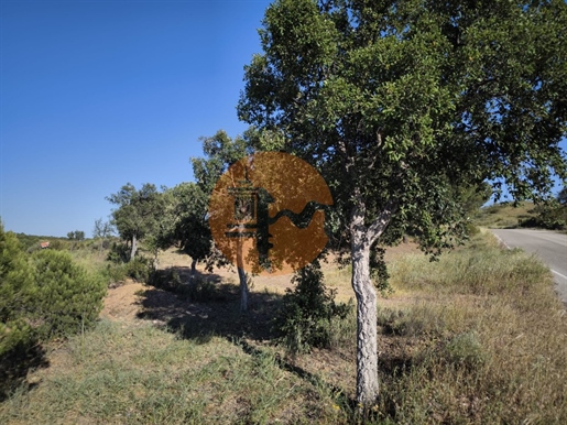 Land With 61,440 M2 - Possibility Of Rural Tourism - Construction For Housing - Near Corte Do Gago -