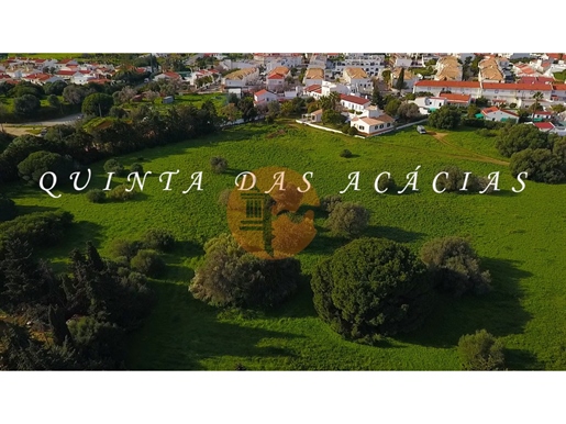 Se vende casa tradicional en finca cercana al núcleo urbano, con posibilidad de construir 7 casas co