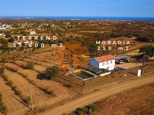 Algarvian Rural Farm With Swimming Pool - Sea View - Corte Antônio Martins - Tavira