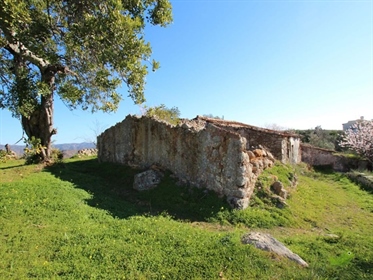 Baugrundstueck mit Ruine in Santa Catarina Tavira