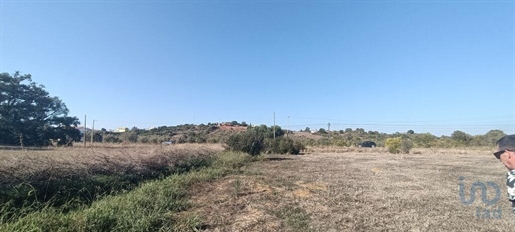 Ground in Algoz e Tunes with 1400,00 m²