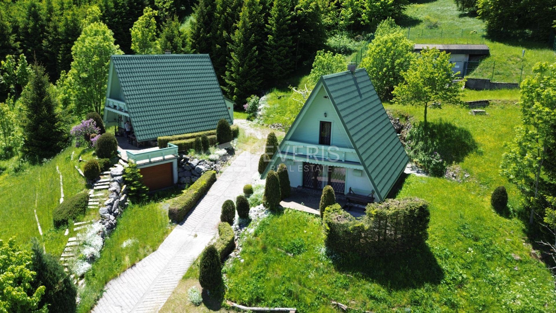 Gorski kotar, Mrkopalj, two detached houses