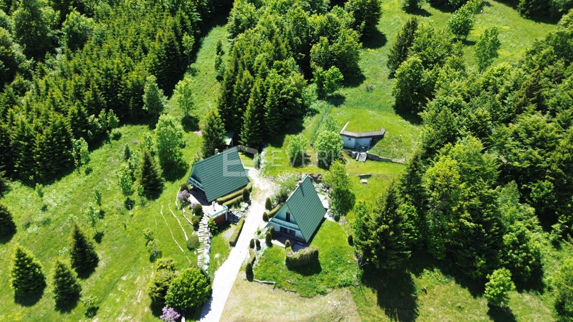 Gorski kotar, Mrkopalj, two detached houses