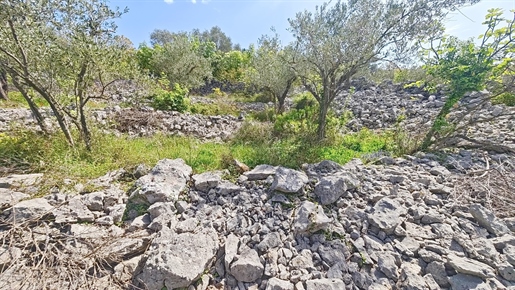 Vrbnik, building land with project and building permit!