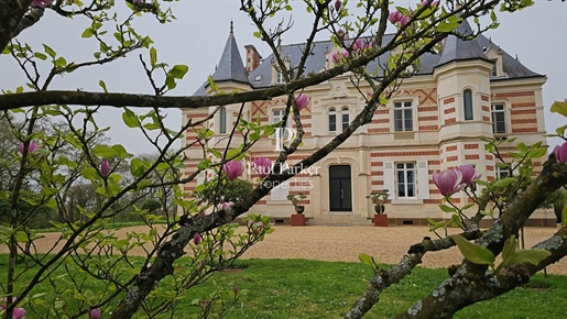 Prestigieuze residentie Chateau du XIX -ème Le Mans