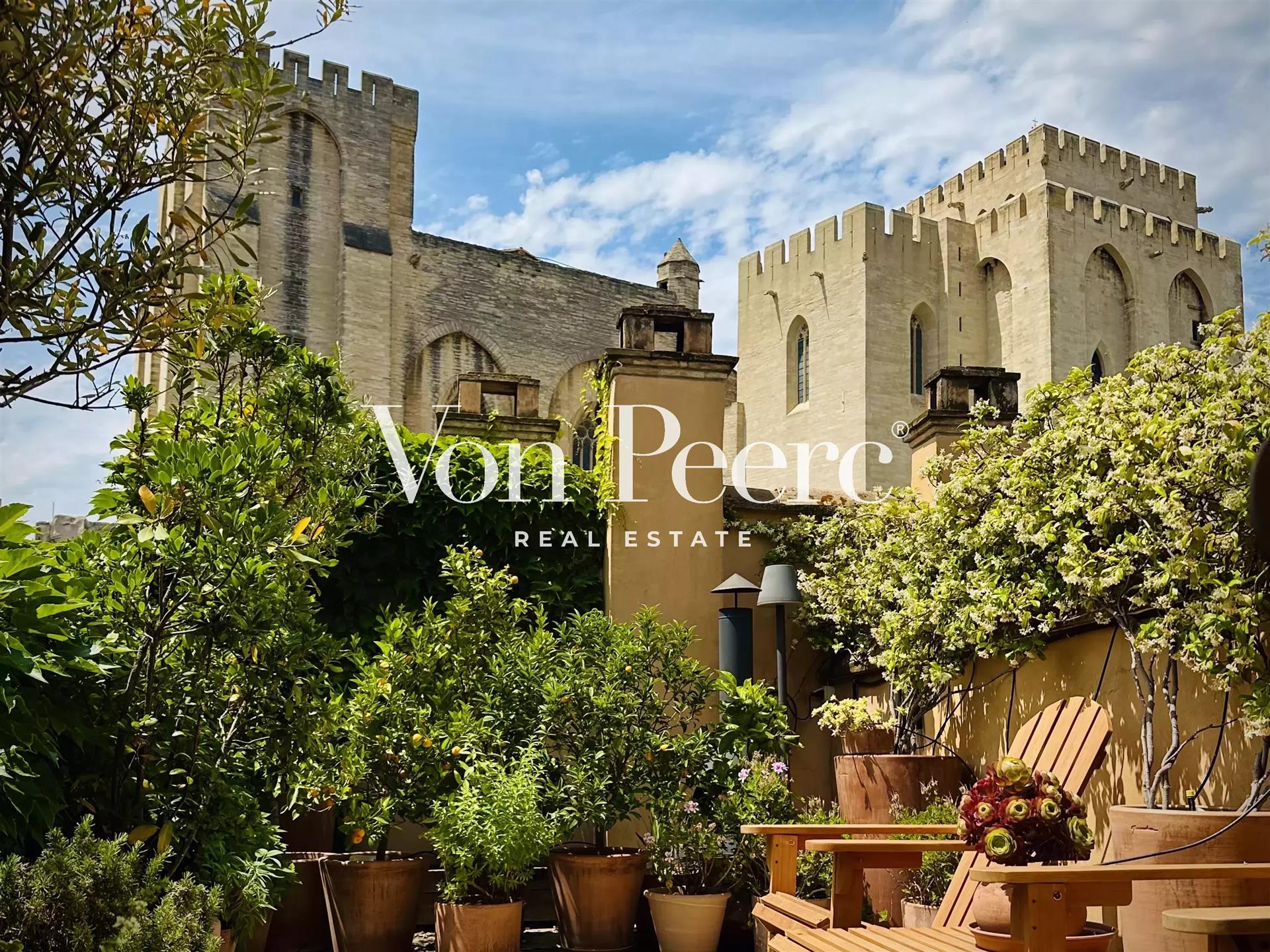 Rare address Appartment - Exceptional view of the Palais des Papes.