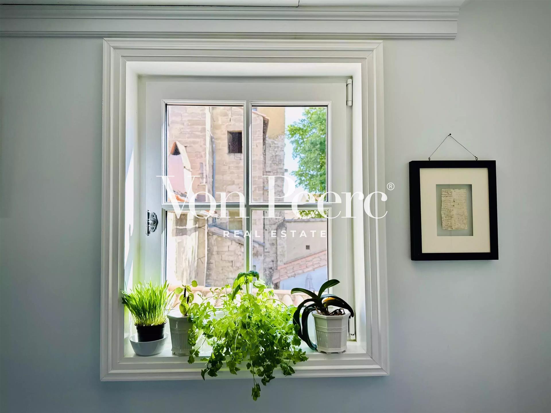 Rare address Appartment - Exceptional view of the Palais des Papes.