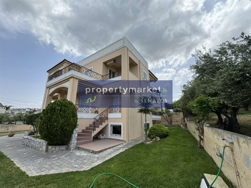 Advert picture