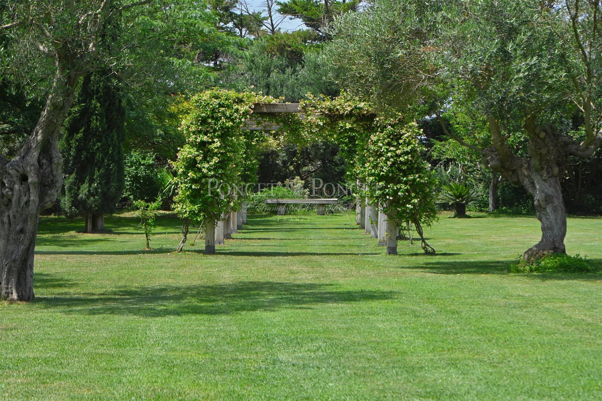 Mas D’Exception De 700 M² Sur 1,4 Ha