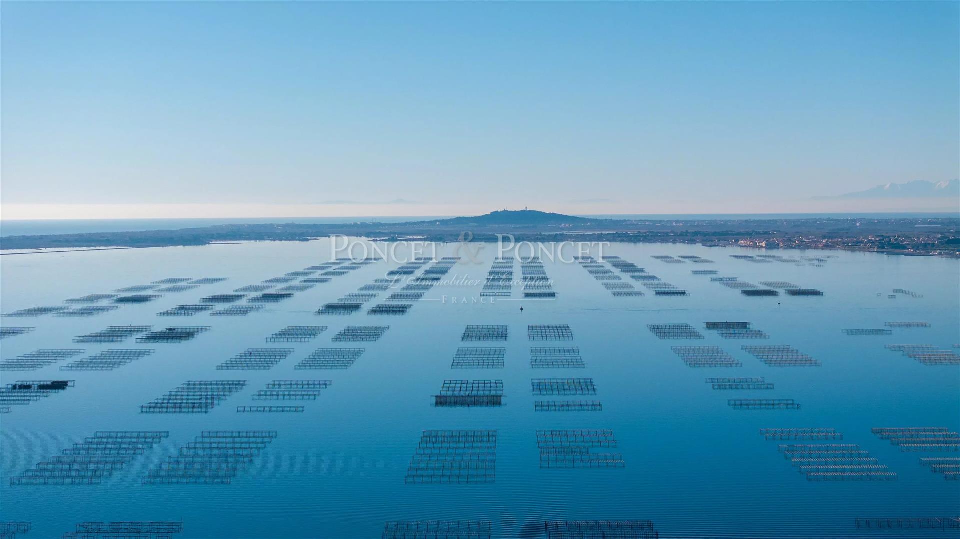 Maison à vendre, 2000m², Montpellier