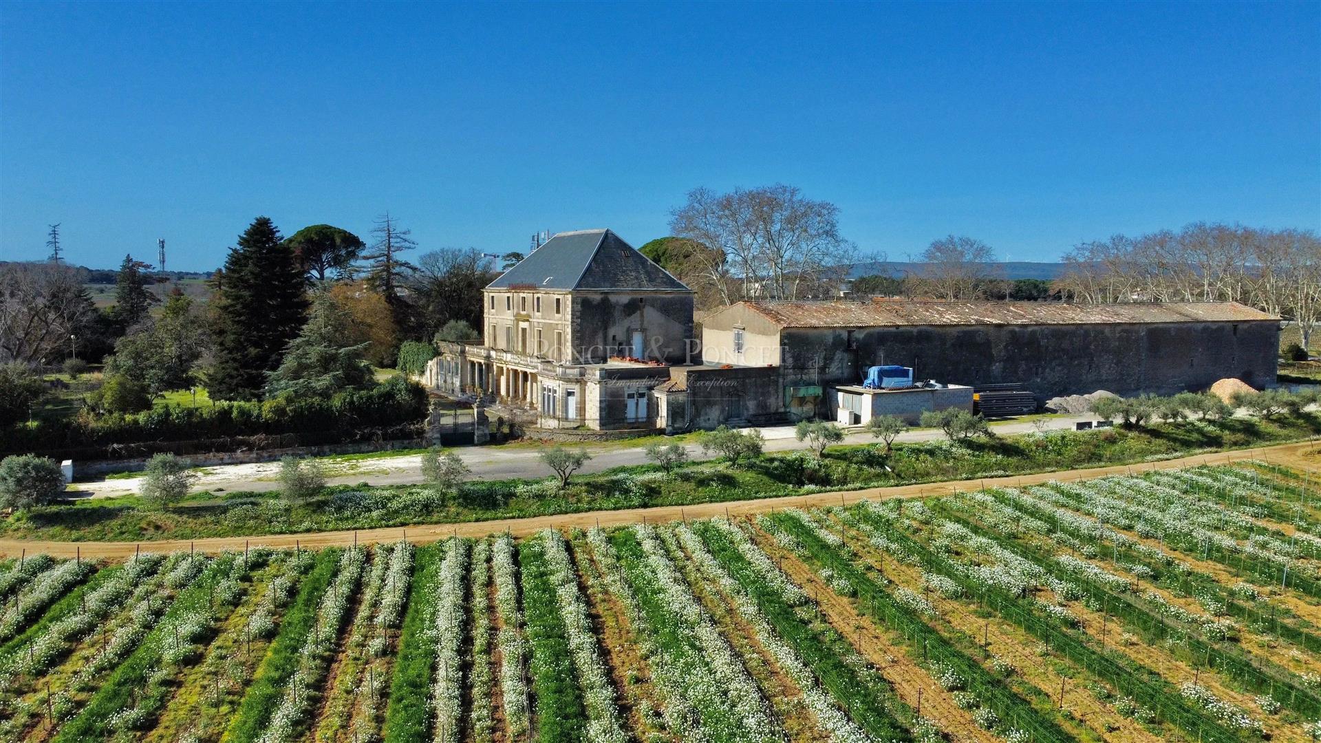 Maison à vendre, 1140m², Montpellier