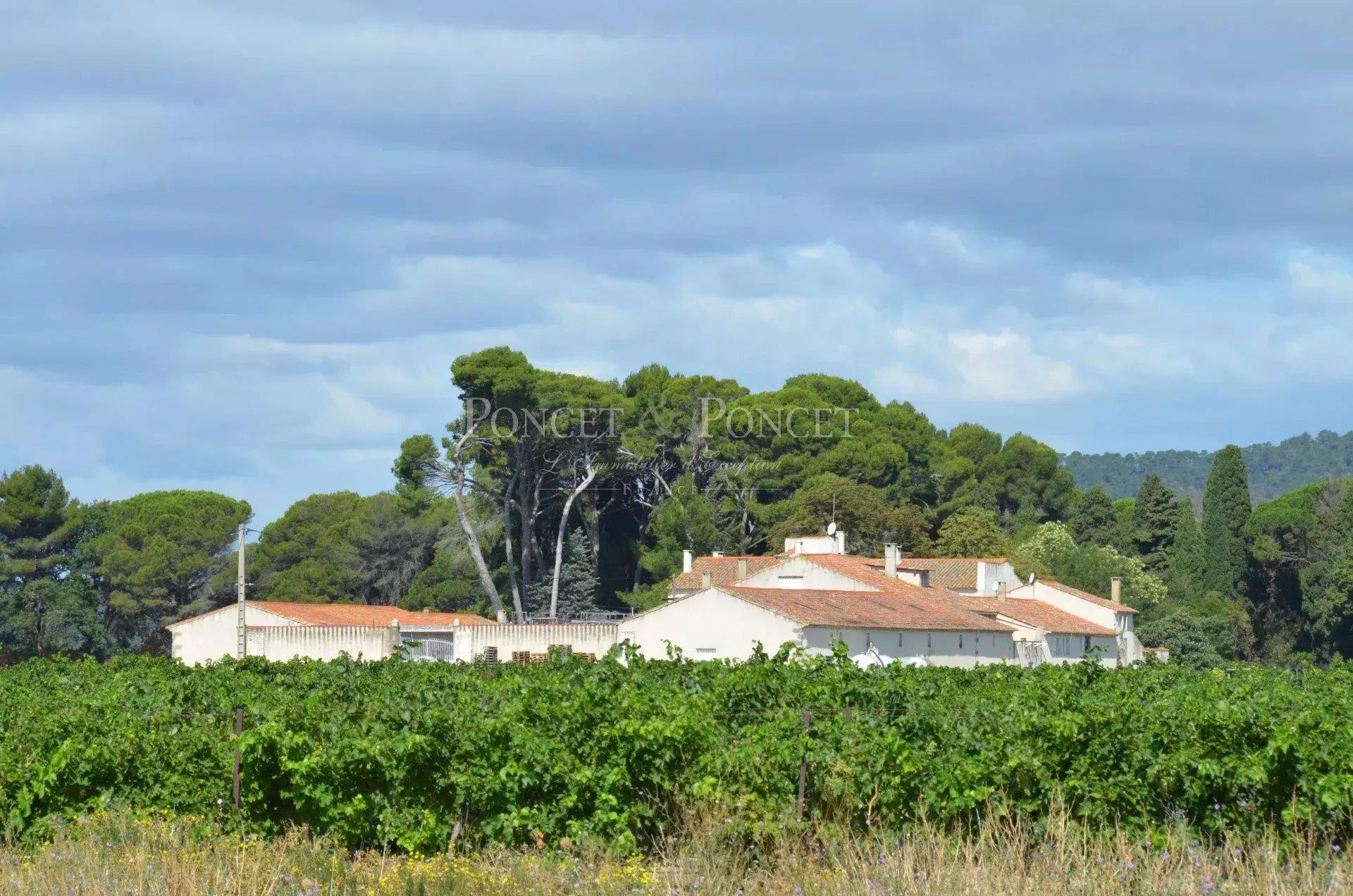 Property of character in Aude, on the edge of the Canal du midi 10 ha
