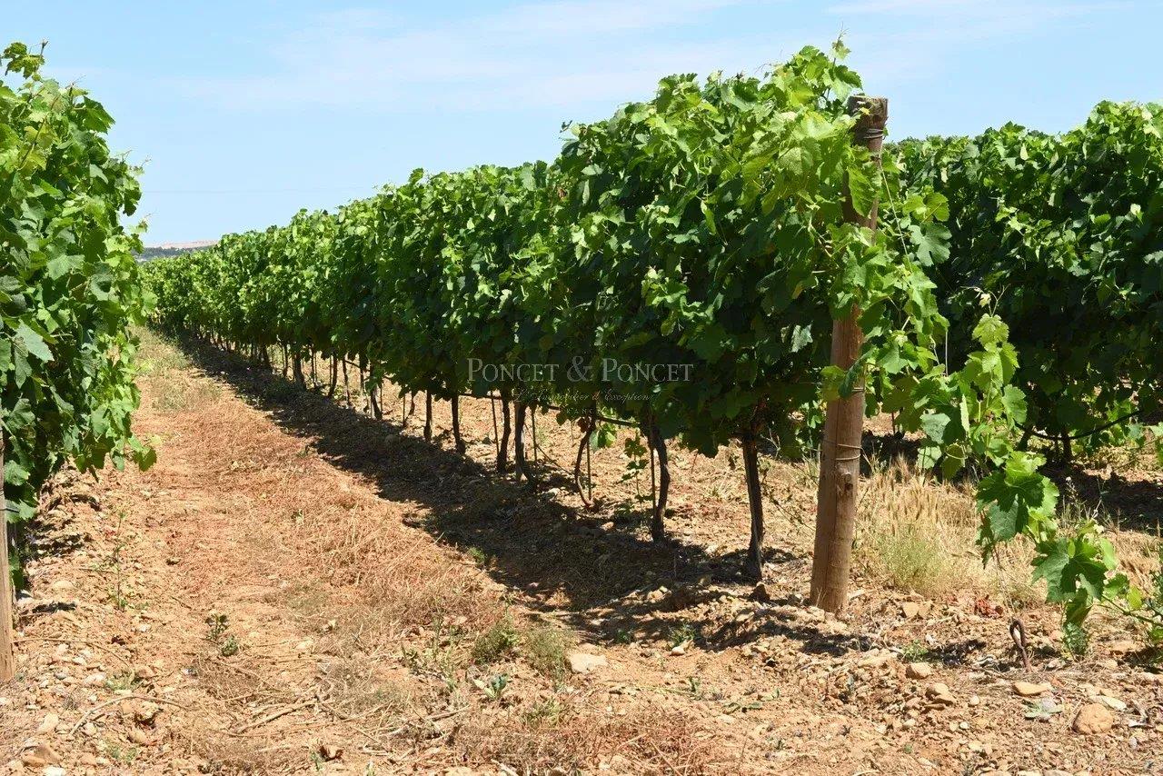 Renowned Vineyard property in Corbieres-Boutenac 375 ha including 90ha in Vineyards