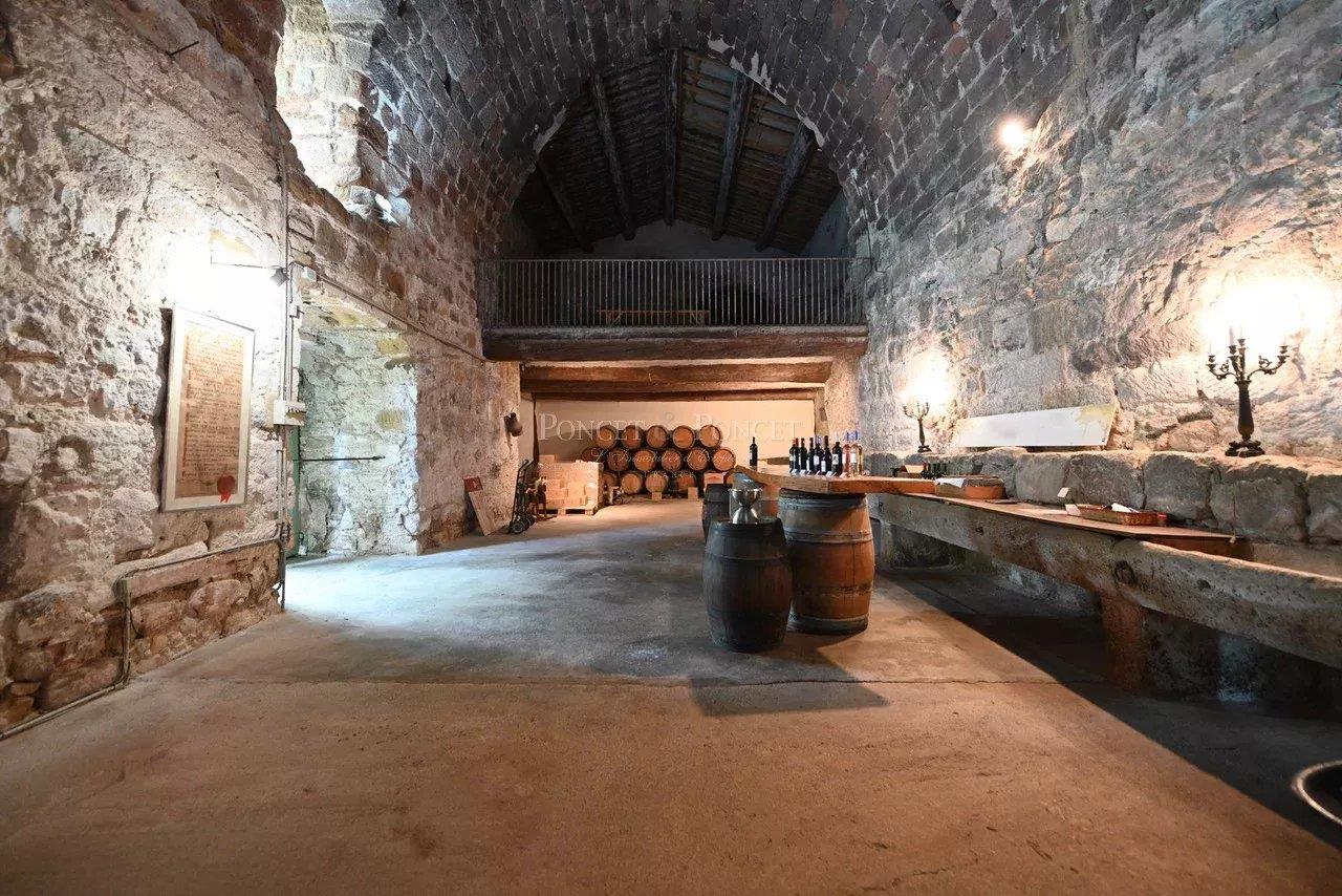 Renowned Vineyard property in Corbieres-Boutenac 375 ha including 90ha in Vineyards