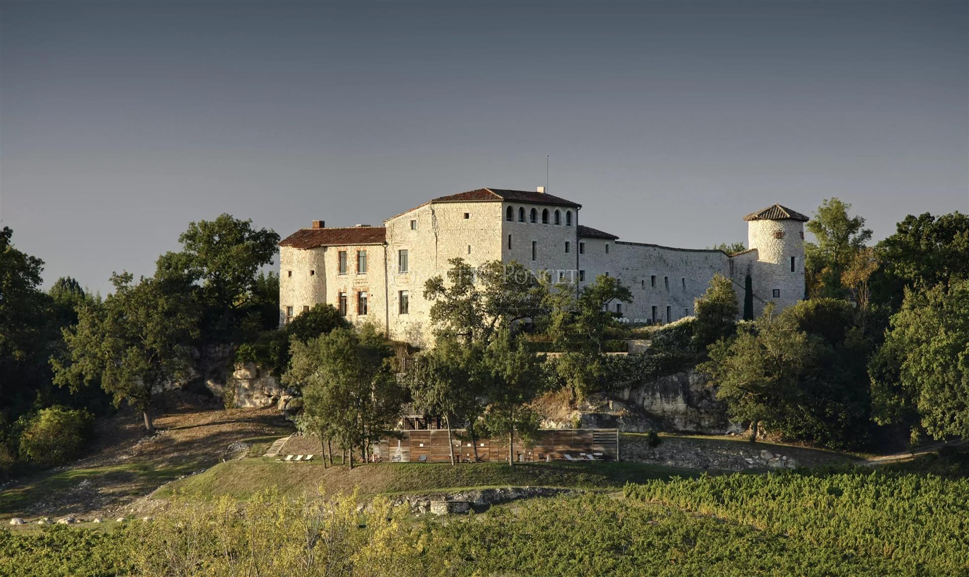 Near Toulouse, Château XIIIè in excellent condition with hotel activity