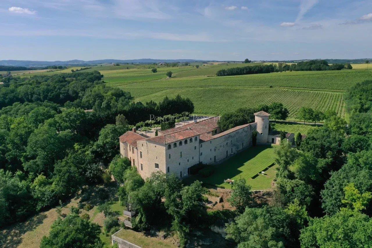 Near Toulouse, Château XIIIè in excellent condition with hotel activity