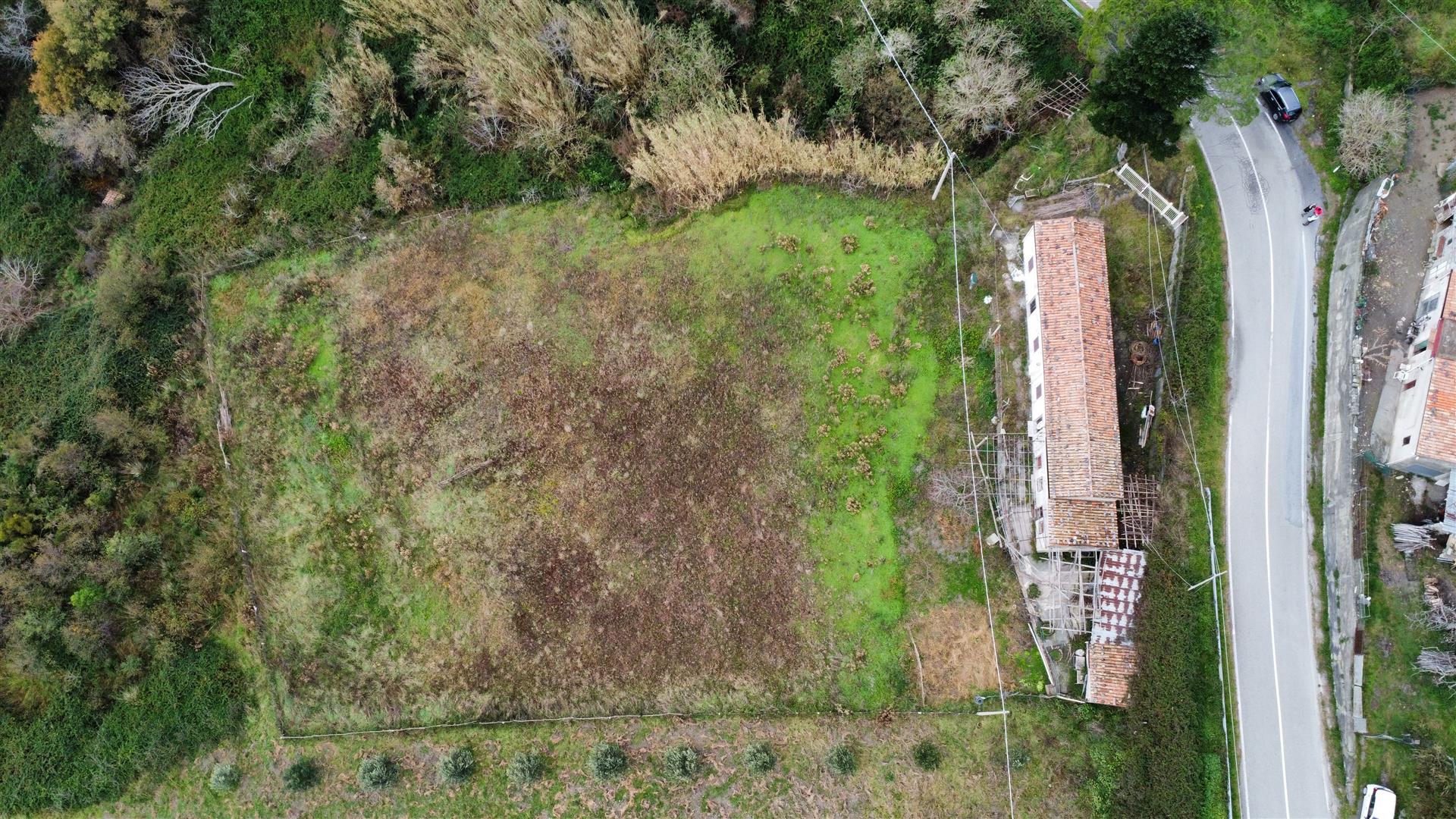 Rural Home for Sale in San Janni, Sangineto – Peace, Potential and Panoramic Views