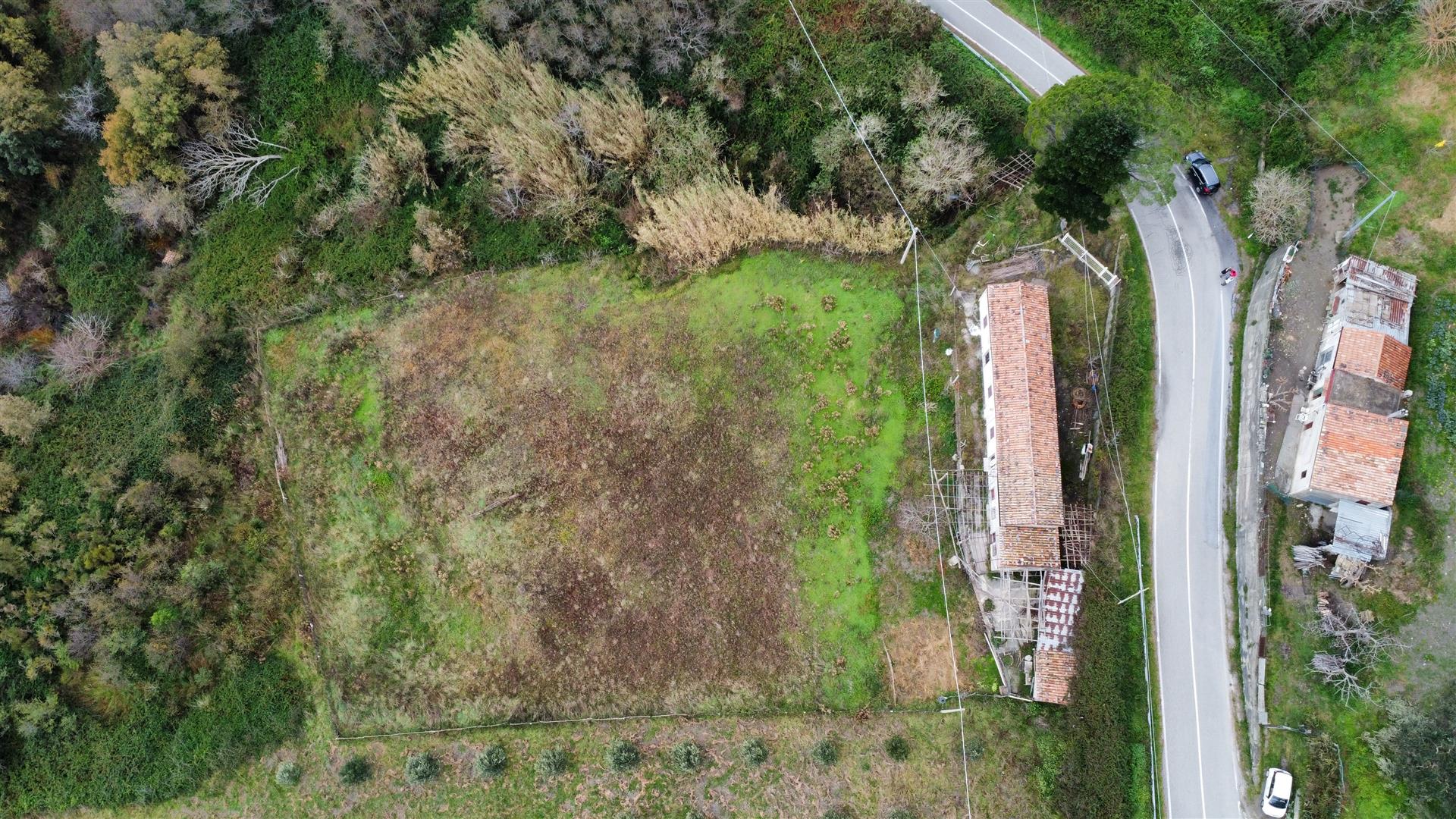 Rural Home for Sale in San Janni, Sangineto – Peace, Potential and Panoramic Views