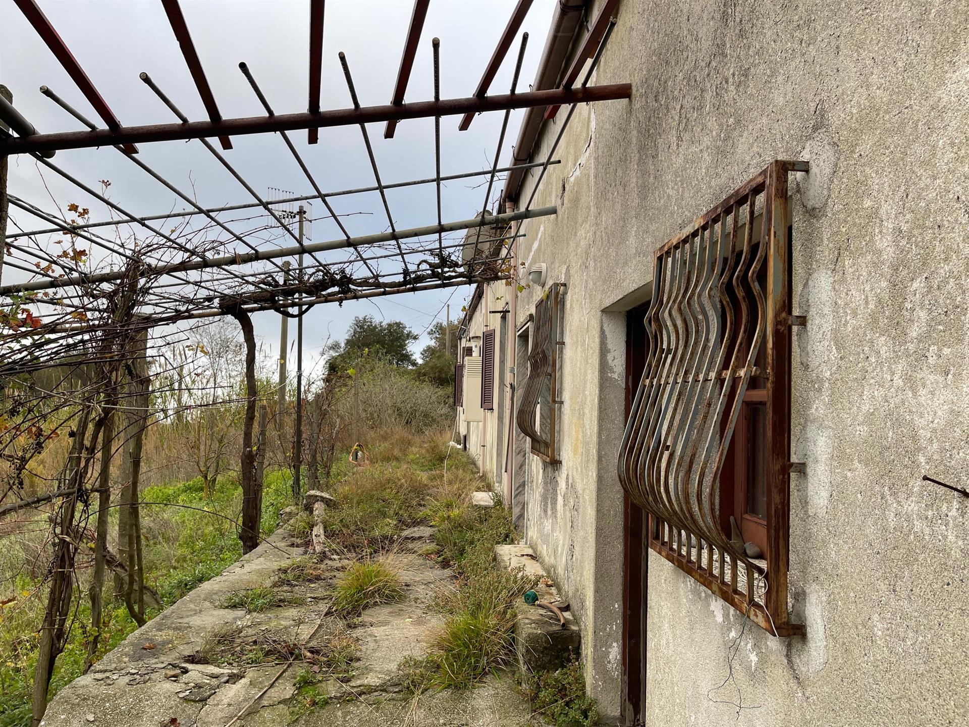 Rural Home for Sale in San Janni, Sangineto – Peace, Potential and Panoramic Views