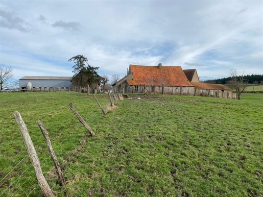 Livestock farm of 65 hectares in sole ownership