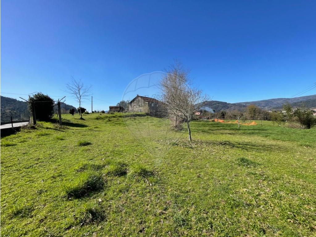 Purchase: Land (3510)