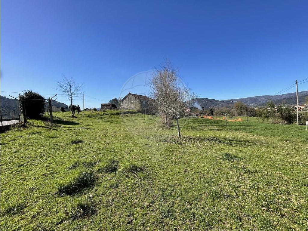 Purchase: Land (3510)