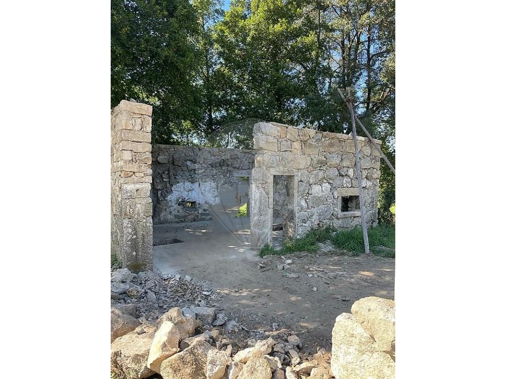 Cumpărare: Casă (4940)